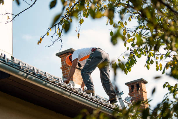Best New Roof Installation  in Marlette, MI