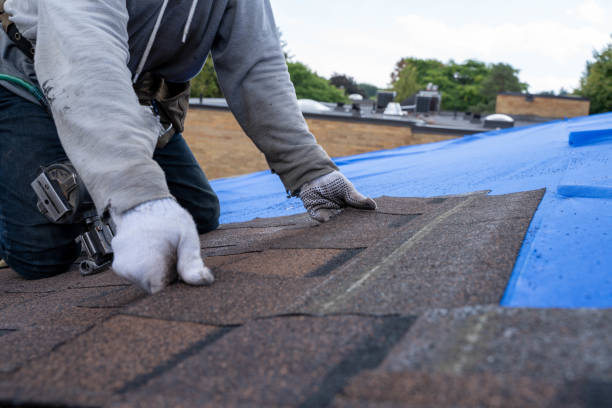 Best Roofing Contractor Near Me  in Marlette, MI