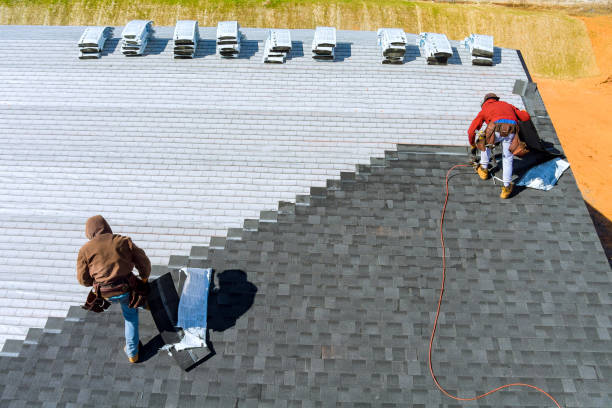 Best Shingle Roofing Installation  in Marlette, MI