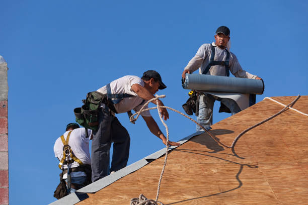 Best Metal Roofing Contractor  in Marlette, MI