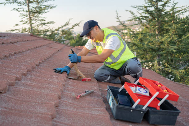 Best Storm Damage Roof Repair  in Marlette, MI