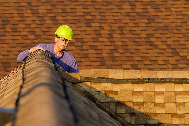 Best Affordable Roof Replacement  in Marlette, MI